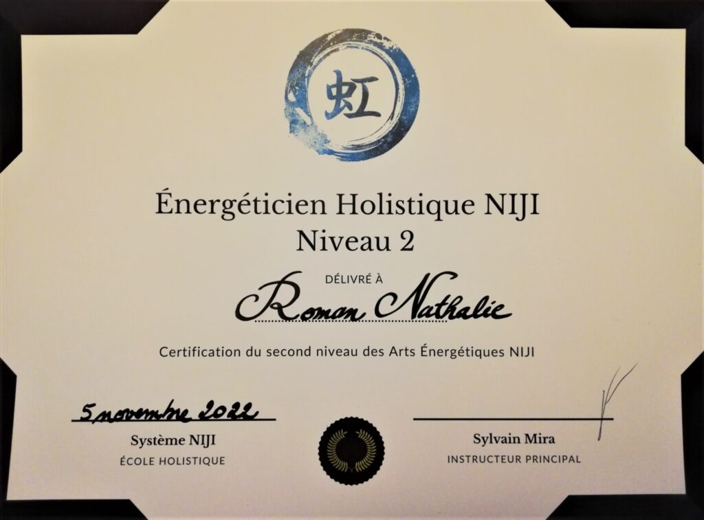 formation énergétique-système holistique niji-soin énergétique